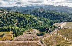 2333 Guntley Road, Philo, CA 95466