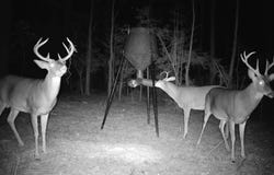 SE Pleasant Grove Road, Ruth, MS 39662
