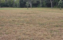 Tee Vee Road, Elloree, SC 29047