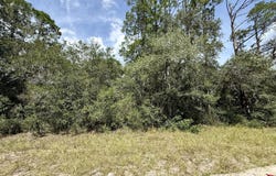 SHARON Street, Interlachen, FL 32148