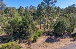 506 S Primeval, Payson, AZ 85541