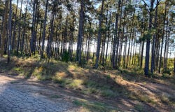 02 Army Recreation Rd, Florien, LA 71429