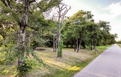 208 N Old Indian Trail, Tool, TX 75143