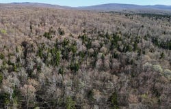 E Pinnacle Road W, Bellmont, NY 12920