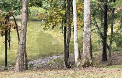 1421 Beaver Lake Road, Lawrenceburg, KY 40342