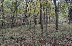 E 270th Avenue, Ridgeway, MO 64481