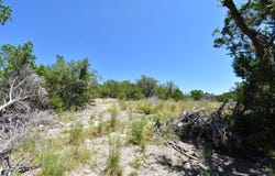 296 TIMBERCREEK RD, Pipe Creek, TX 78063