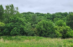 Windmill Lane, Dubuque, IA 52001