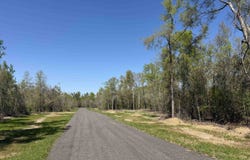 Parcel 6 E US 90 Highway, Lee, FL 32059-8266
