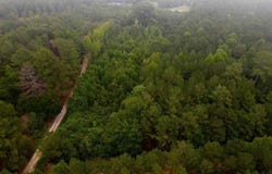 96 Pine Tree Ln, Chesterfield, SC 29709