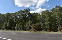 N US Highway 287, CAYUGA, TX 75832