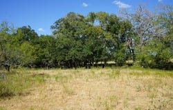 TBD 1 CR 236A, Milano, TX 76556