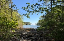 7.25 ac Taylors Beach Road, REEDVILLE, VA 22539