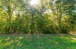 FM 2064 N, Troup, TX 75789