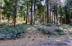 848 Startop, Clio, CA 96122