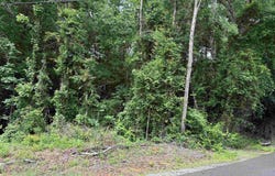 ASHBOROUGH DRIVE lot: 65, COTTONDALE, AL 35453