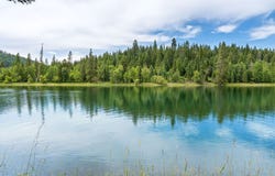 250 Swan Meadow Drive, Bigfork, MT 59911