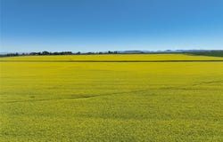 750 E Division Road, Fort Shaw, MT 59443