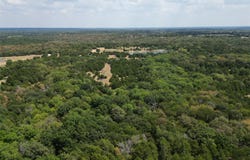 25 acres County Road 1019, Celeste, TX 75423