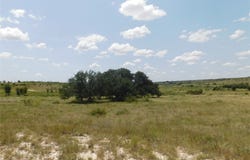 178 Twisted Creek Drive, Gustine, TX 76455