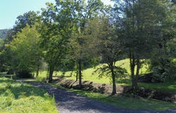 68 Wilson Cemetery Road, Cullowhee, NC 28723