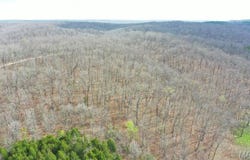 TBD CR 4280, Salem, MO 65560