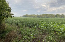 W Copeland Road, Bronson, MI 49028