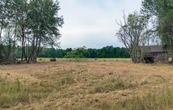 HWY 77 E, Atlanta, TX 75551