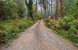 71046 E SALMONBERRY Rd, Rhododendron, OR 97049
