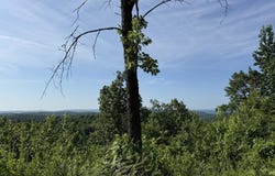 2441 S AR Hwy 9, Melbourne, AR 72556