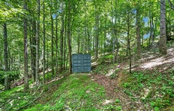 TBD 50 Acres Thunderstruck Road, Floyd, VA 24091