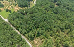 Allen Mill Bridge Rd, CAMDEN, TN 38320