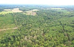 County Road 152, Carthage, TX 75633
