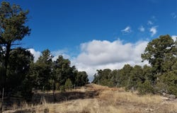 Pecos, Pecos, NM 87552