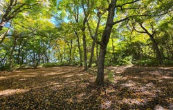 Ottertail Point Dr NW, Cass Lake, MN 56633