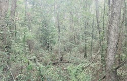 2 Two Mile Road, Irvington, AL 36544