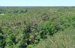US Hwy 59, Gary, TX 75643