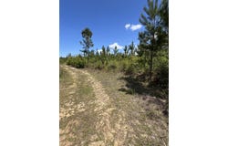 Goodman Hill Road, Chipley, FL 32428