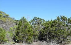 Cheyenne Trl, Wimberley, TX 78676