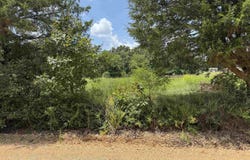 ALMA Drive, Highland, AR 72452