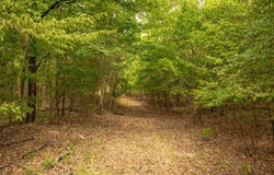 Terry Road, Byram, MS 39272