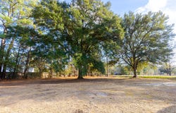 1748 Highway 402, Moncks Corner, SC 29461