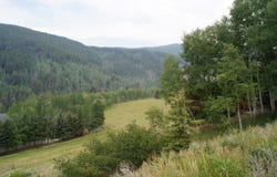 449 McLaughlin Lane, CO 81621