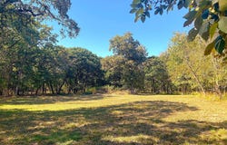 8840 Timber Ridge, Larue, TX 75770
