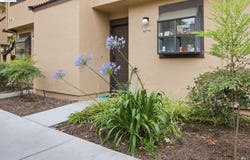 6279 Joaquin Murieta Ave, Newark, CA 94560