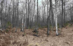 Near Krooks Drive, Negaunee, MI 49866