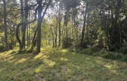 WOLFSVILLE Road lot: 2, MYERSVILLE, MD 21773