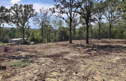 Tract 1 Williams Road, Austin, AR 72007