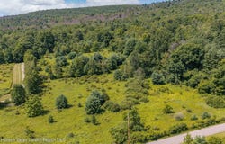 93 Baker Road, Kerhonkson, NY 12446
