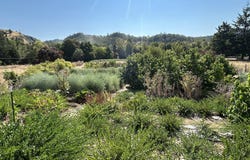 1239 N MYRTLE Rd, MyrtleCreek, OR 97457